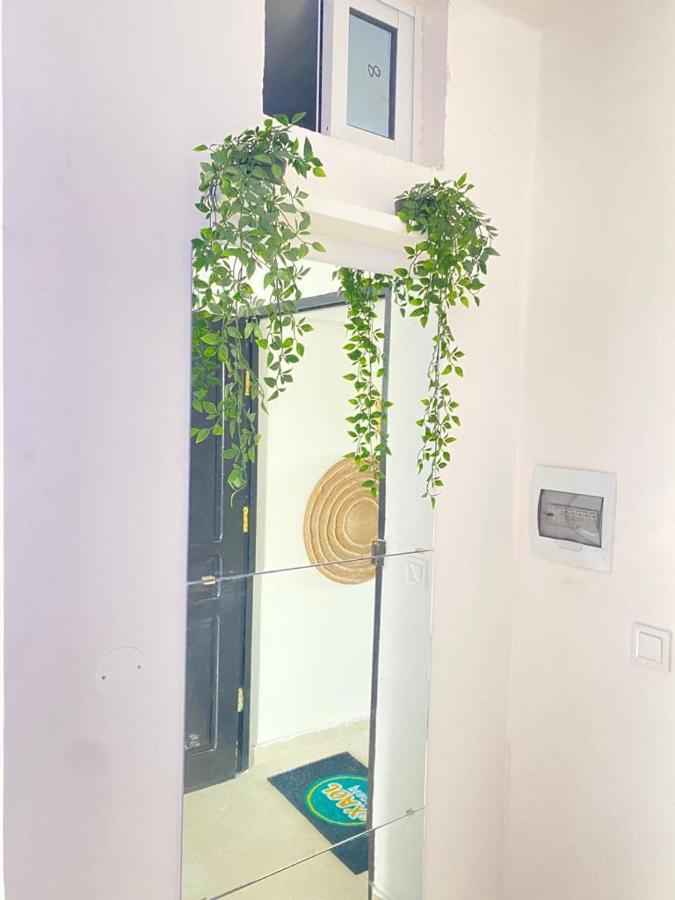 Quarto Nº6 Maria Bonita- Central Praia Ngoại thất bức ảnh